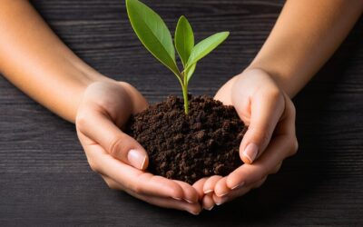 Why Are You Ignoring Planned Gift Opportunities?